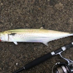 買い物の合間に