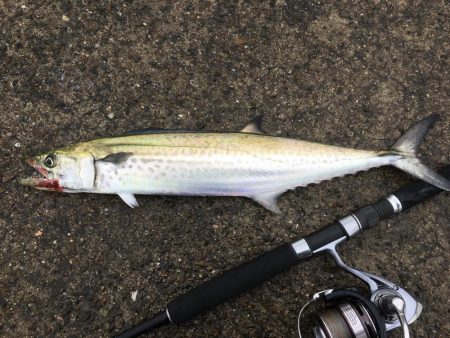 買い物の合間に