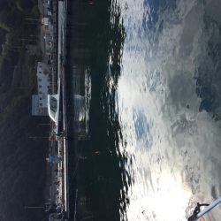 釣り堀シーユー