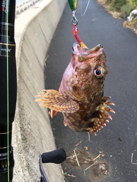 あとちょっとなのに...