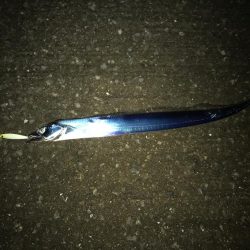 開園と同時の釣行