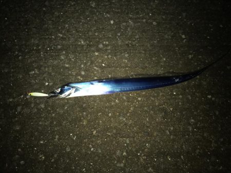 開園と同時の釣行