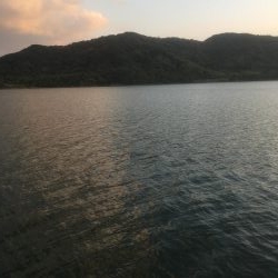 津田でエソ遊び