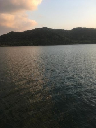 津田でエソ遊び