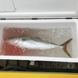 初メジロゲット!!