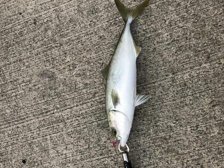 ベイトがいっぱい！