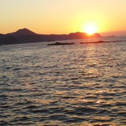 グレ・アオリイカは小さい・・イズスミは良く引きました・・