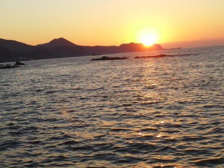 グレ・アオリイカは小さい・・イズスミは良く引きました・・