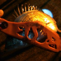 アジングですが