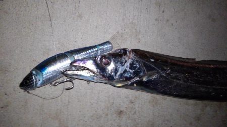 テクトロでビックリ