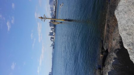 タチウオお留守？