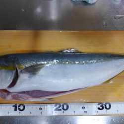 フォールでパクリ！