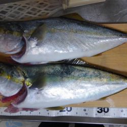 ストリンガーが