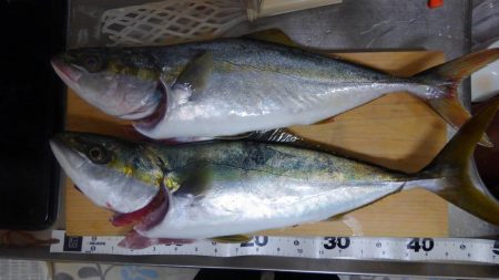 ストリンガーが