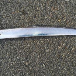 久しぶりのタチウオ！