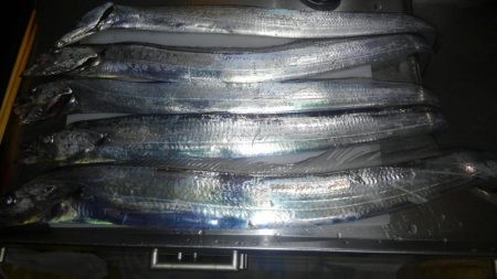 終日、潮止まり？