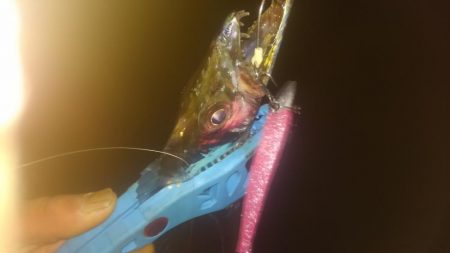 ワインド、プチアジング