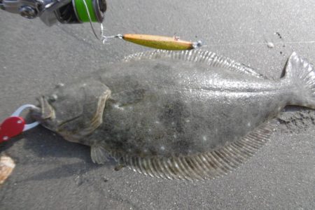 サーフ２回目の挑戦！