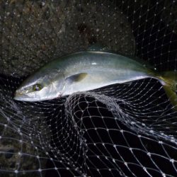 朝練(今週３回目）