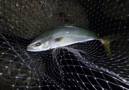 朝練(今週３回目）