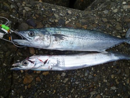 朝練　60分1本勝負！！