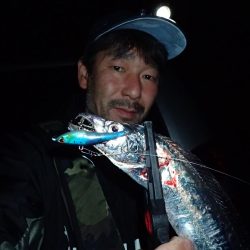 大人の夜遊び♪