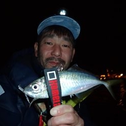 湾奧ジャンボ後豆アジング