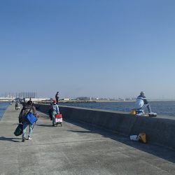 西宮ケーソン釣行