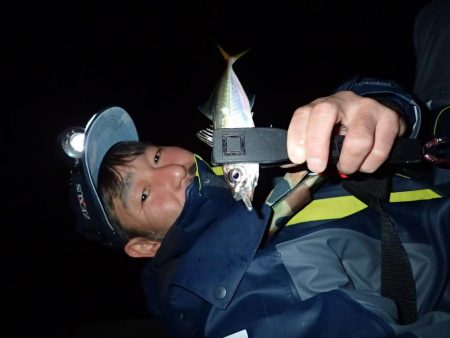 湾奧ジャンボを求めて！