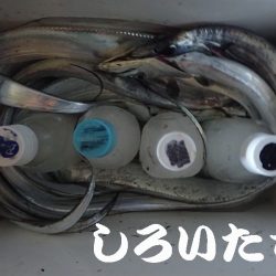 12日の兵庫突提に行ってきました。