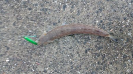 強風の陣-寒さとの闘い-