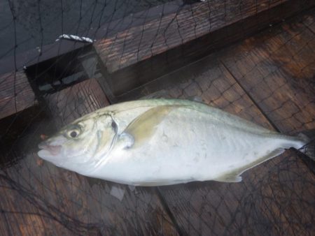 2017/11/18　釣堀田尻にてオンリー…