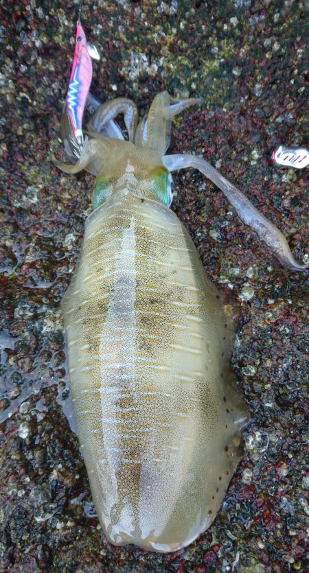 魚釣りの合間に❗