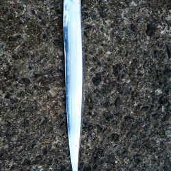 ◯なんとか１匹