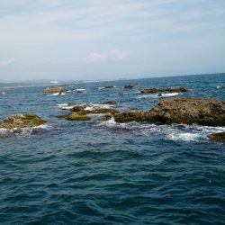 今日も風が強かった