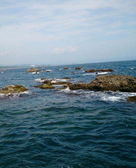 今日も風が強かった