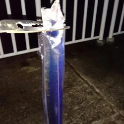 ◯やっぱり渋いな