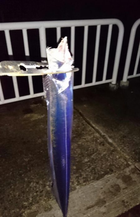 ◯やっぱり渋いな