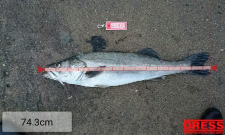 ランカー届かず！