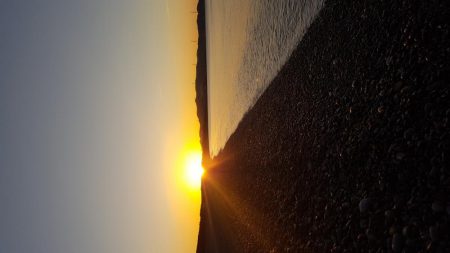 ペタペタのサーフ