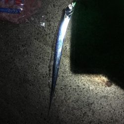 一文字渡堤再開