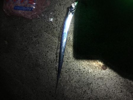 一文字渡堤再開