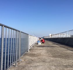 青物釣れず。。。