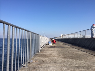 青物釣れず。。。