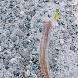 タイミング重要