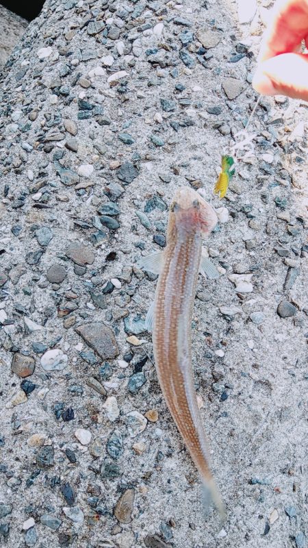 タイミング重要