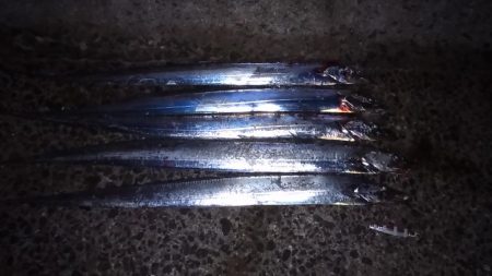 青物狙いで明石方面行って来たのですが全然だ…