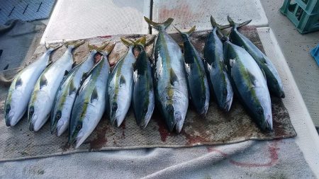 【光義丸：2017年１１/１５(水) 最新…