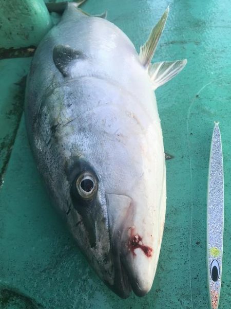 広進丸 釣果