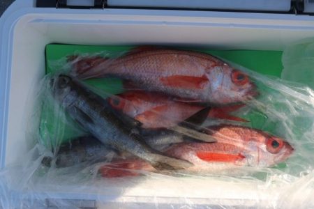 へいみつ丸 釣果